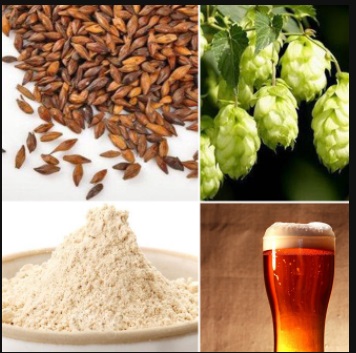 济南豪鲁啤酒原料 济南豪鲁啤酒原料