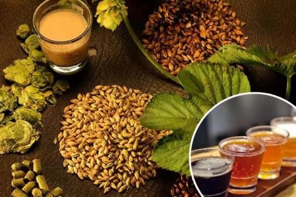 精酿啤酒--山东豪鲁啤酒设备 精酿啤酒--山东豪鲁啤酒设备